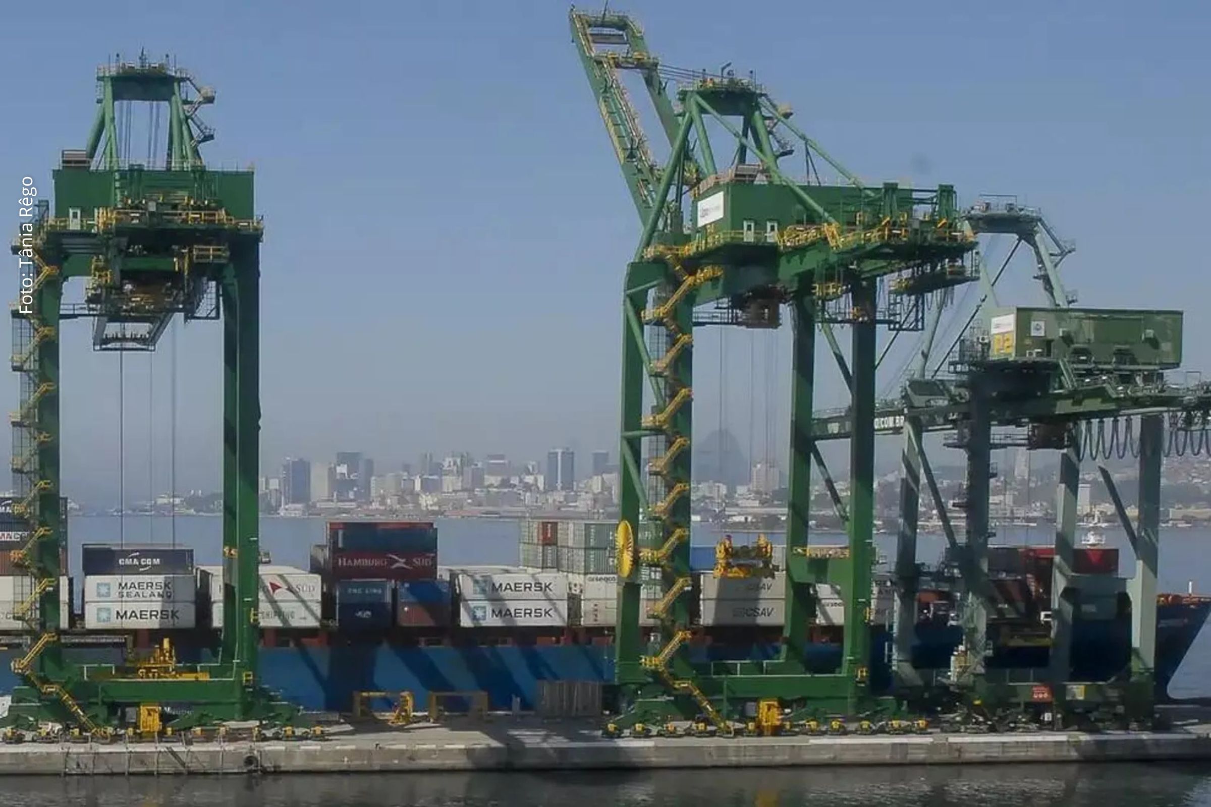 Brasil expande exportações agropecuárias ao Vietnã e à Arábia Saudita com novos mercados e acordos bilaterais