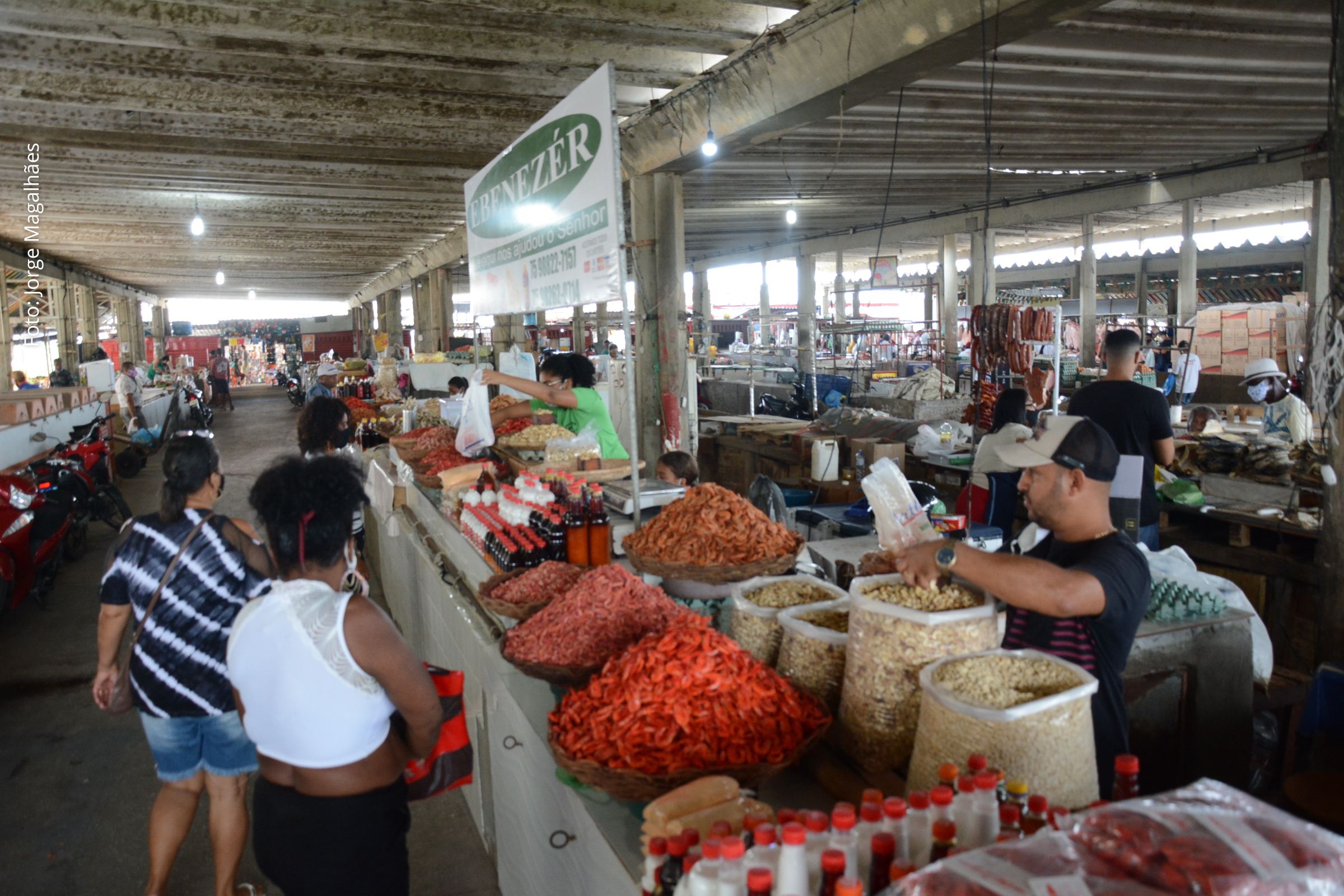 SEAGRI apresenta balanço de 2025 com distribuição de sementes, apoio ao agricultor familiar e melhorias em feiras de Feira de Santana