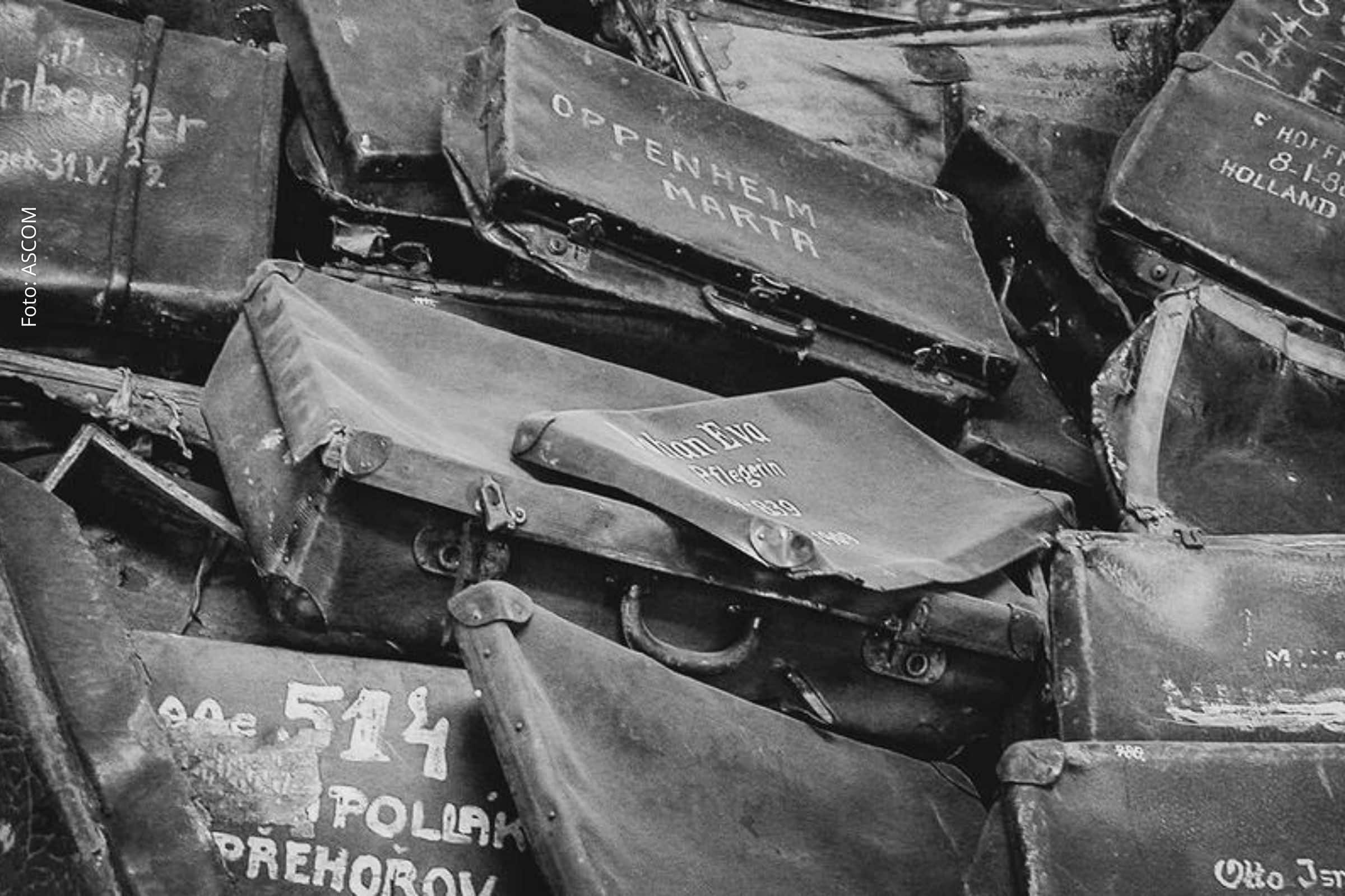 Data marca libertação de Auschwitz-Birkenau e reforça compromisso da ONU com memória, educação e prevenção de atrocidades.