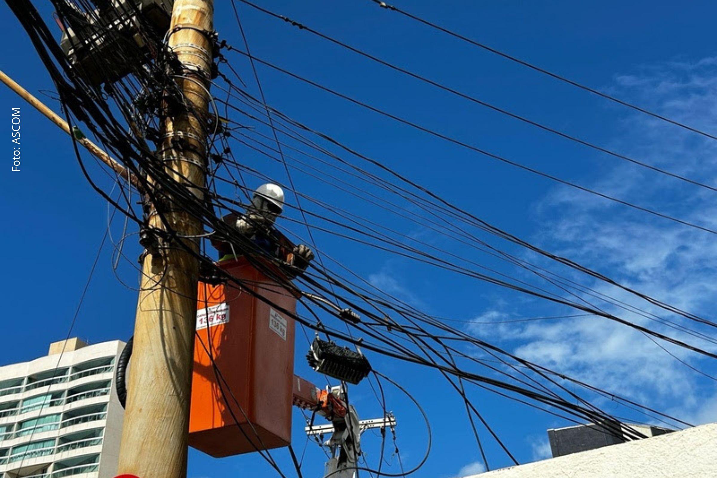 Ação da distribuidora visa aumentar a segurança, reduzir riscos de acidentes e evitar interrupções de energia.