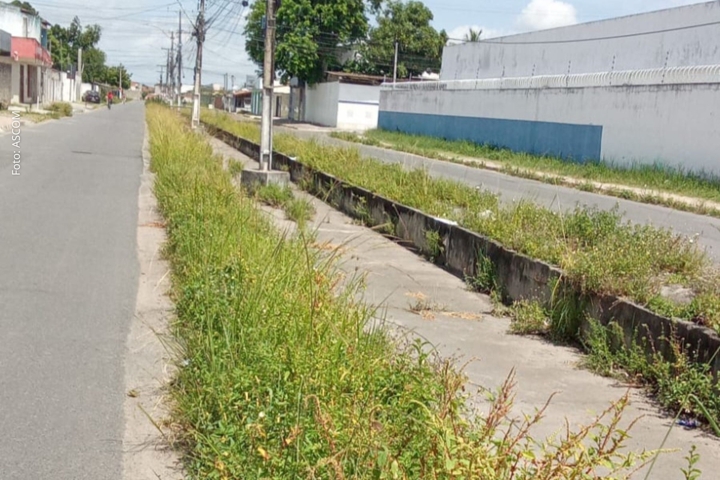 Vereadores solicitam ações da Prefeitura para manutenção de vias, melhoria da mobilidade e prevenção de alagamentos.