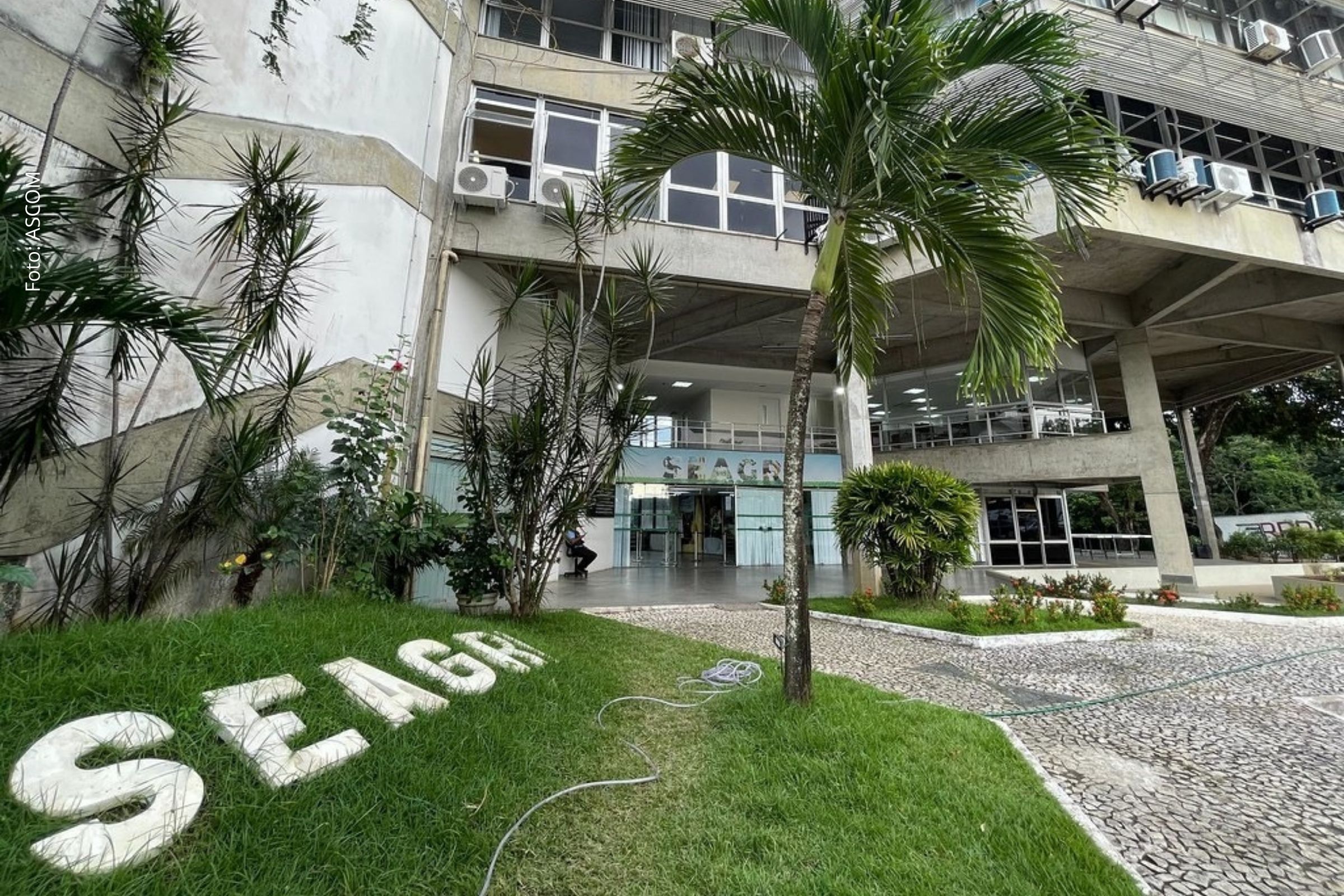 Secretaria encerra o ano com crescimento das exportações, projetos estruturantes e reconhecimento sanitário internacional.