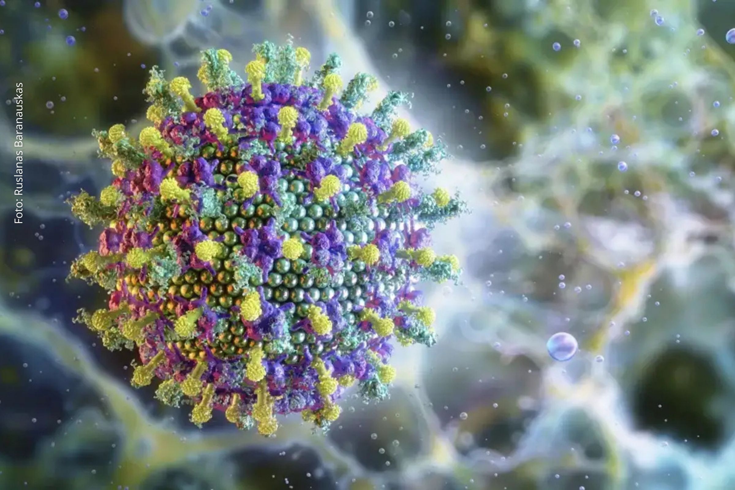 Autoridades de saúde monitoram surto em Bengala Ocidental e países ampliam protocolos diante do risco de disseminação do vírus zoonótico.