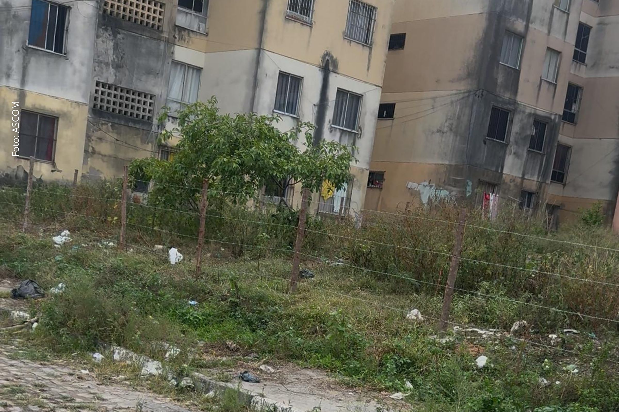 Reclamações foram apresentadas na Câmara; vereadores cobram ações da Prefeitura, do Estado e vistoria da Secretaria de Habitação.