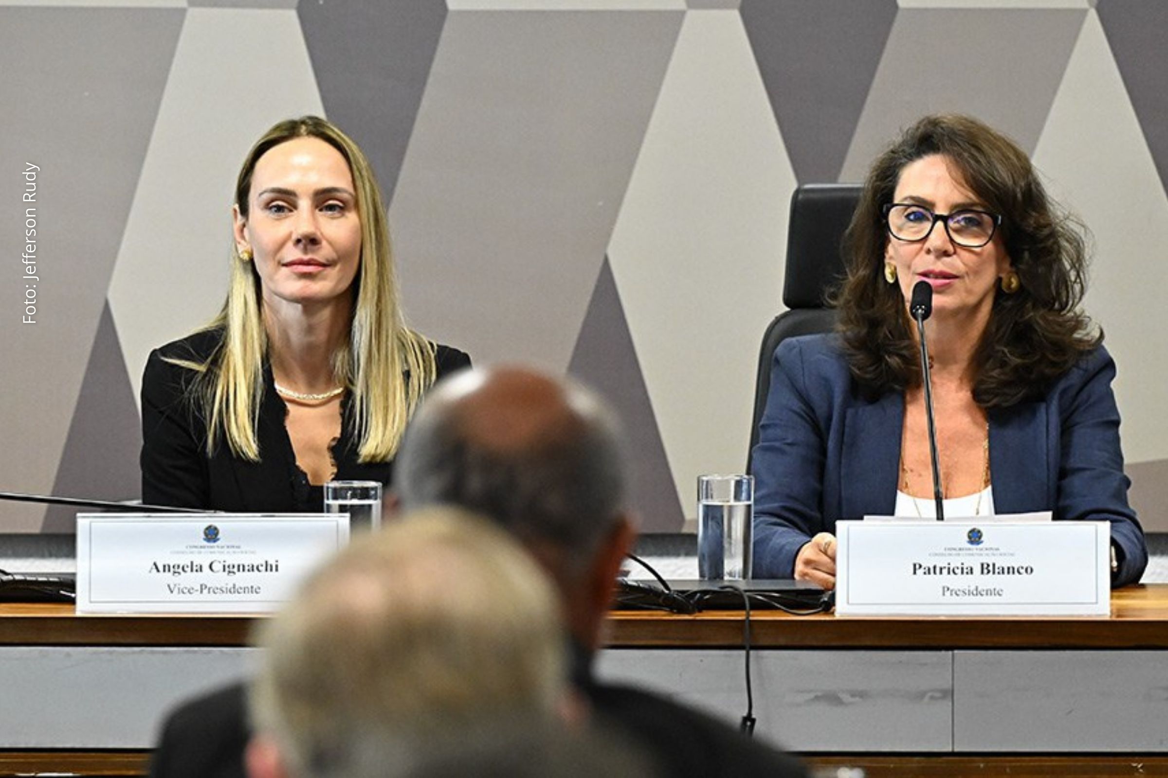 Colegiado com mandato de dois anos atuará com pareceres, estudos e recomendações sobre políticas de comunicação social no Brasil.