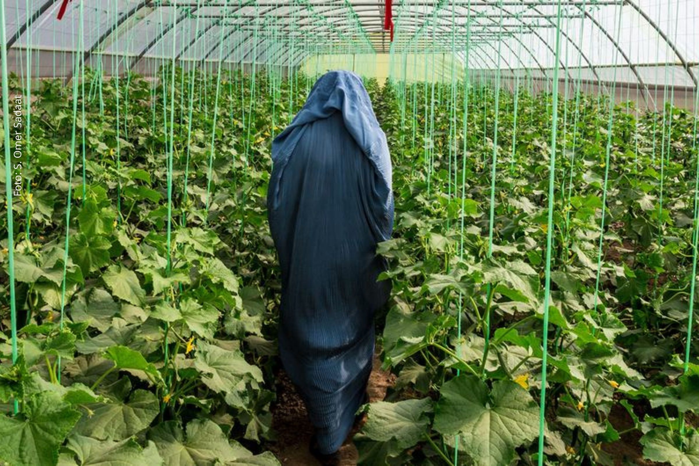 Estudo do Unodc identifica mudança no padrão de consumo, crescimento de metanfetamina e limitações no acesso a serviços de saúde e redução de danos.