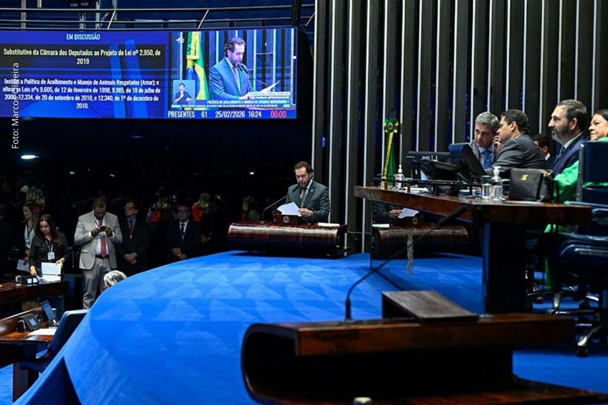 Proposta institui a Política Amar, define protocolos de resgate, atendimento veterinário, transparência de dados e responsabilização por danos à fauna.