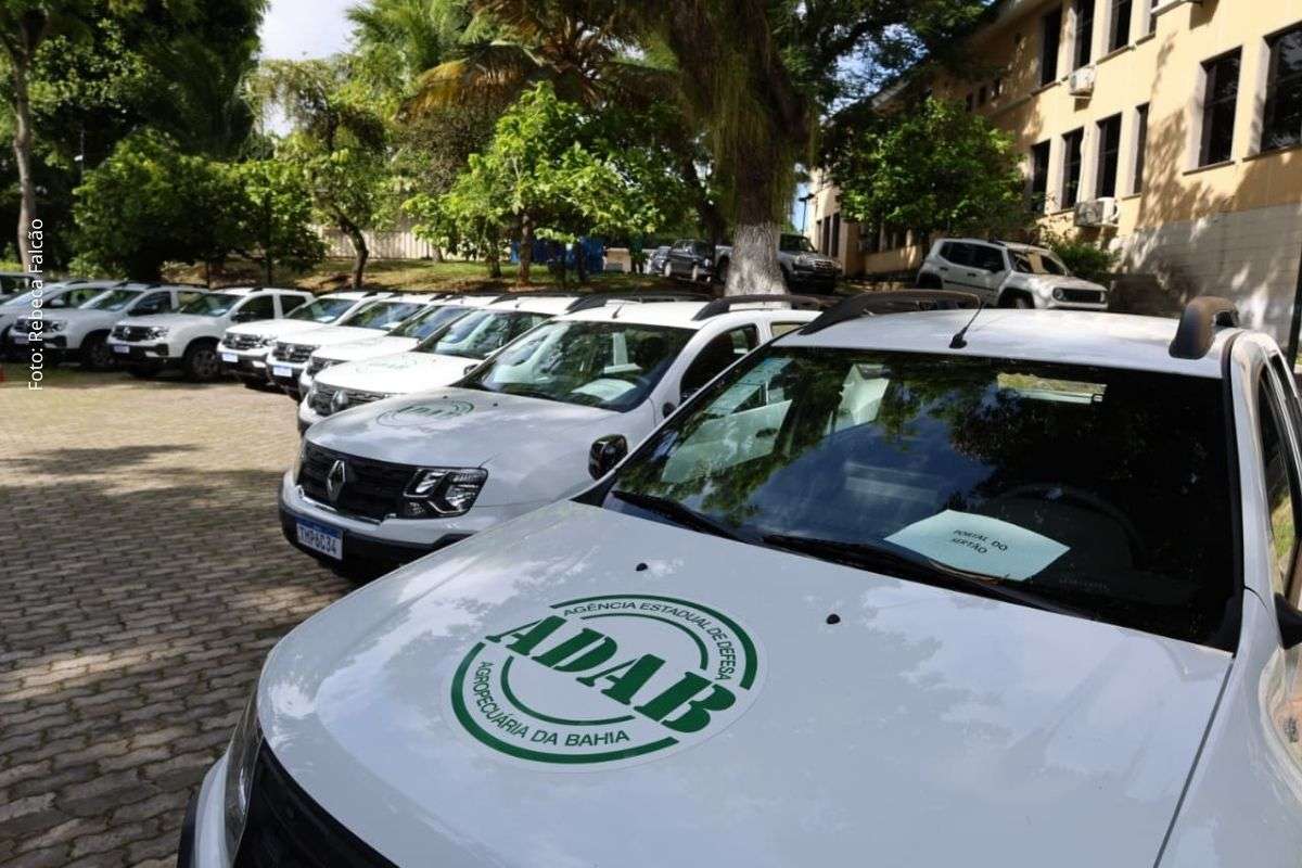 Entrega de oito unidades amplia atuação no interior e fortalece ações estratégicas da agência.