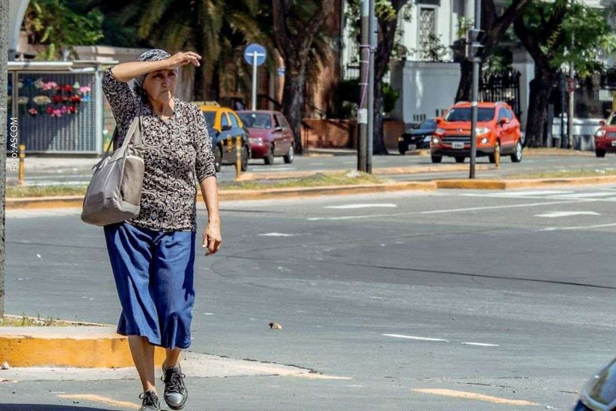 Peritos apontam restrições a arquivos, redução de investigações e riscos a políticas de memória e reparação.