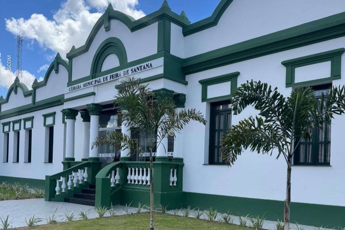 Requerimentos aprovados na Câmara preveem sessões solenes para debater temas sociais e homenagear profissionais e segmentos da sociedade ao longo do ano.