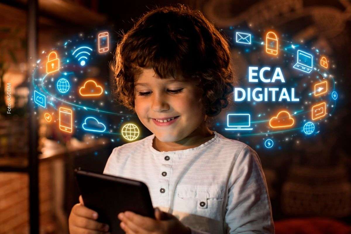 Nova legislação estabelece regras para plataformas digitais e reforça responsabilidade na proteção de menores.