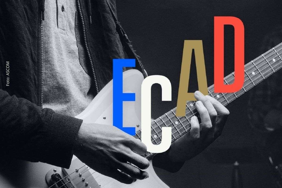Relatório anual aponta avanço da arrecadação, aumento na distribuição a artistas e crescimento do segmento digital na gestão coletiva da música.