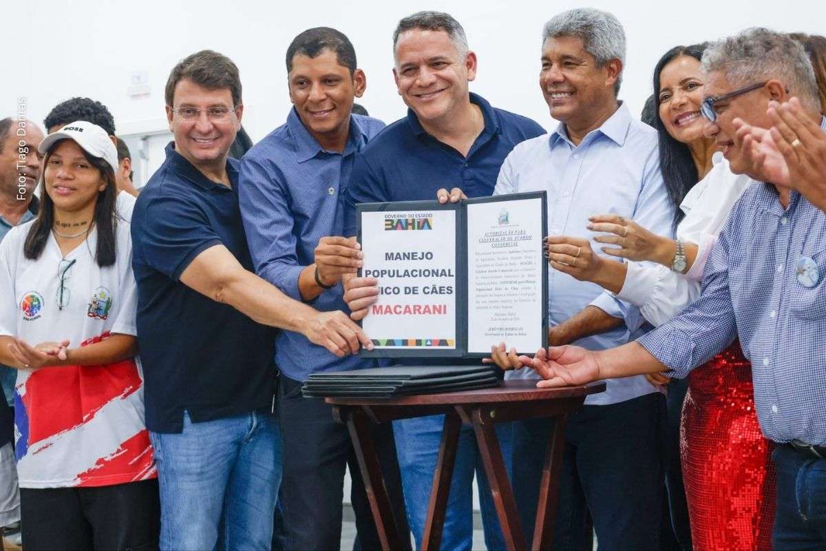 Convênio estadual fortalece saúde pública, proteção animal e apoio à pecuária regional por meio do Consórcio Público de Desenvolvimento do Médio Sudoeste.