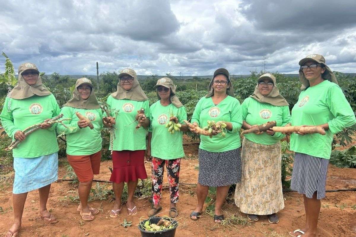 Grupo em Mirangaba alia segurança alimentar, preservação da Caatinga e acesso a políticas públicas de comercialização.
