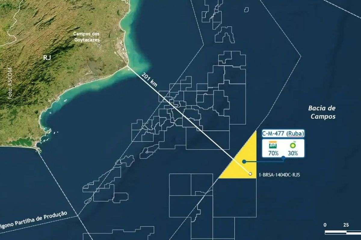 Descoberta ocorre no bloco C-M-477, a 201 km da costa do Rio de Janeiro, em área da 16ª rodada da ANP.