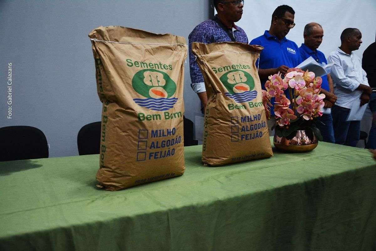 Ação garante distribuição de milho e feijão para 15 mil agricultores durante período de chuvas.
