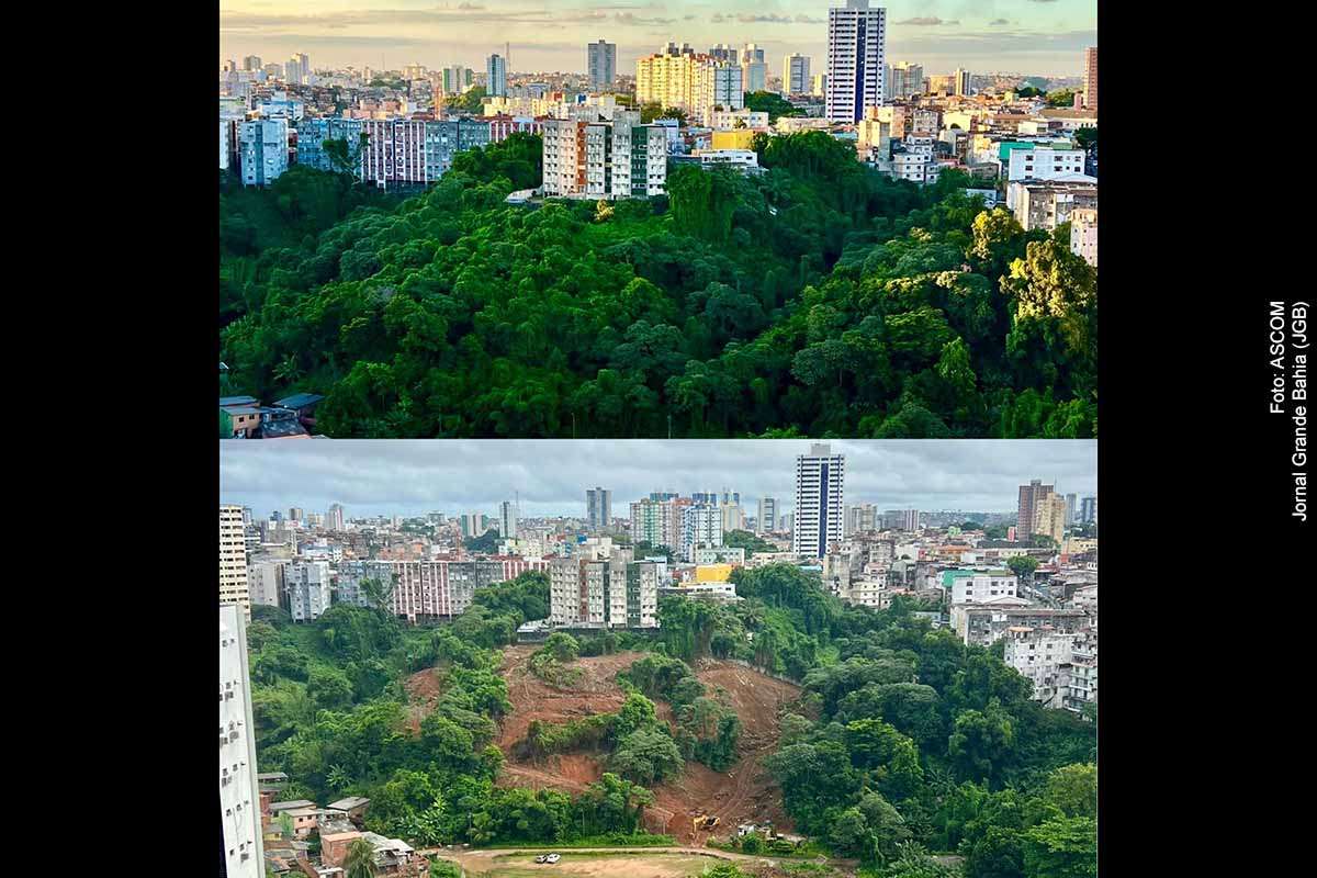 O vereador Sílvio Humberto denunciou supostas irregularidades ambientais e administrativas nas obras do empreendimento Reserva Cidade Jardim, em Salvador, destacando indícios de supressão indevida de vegetação, impacto sobre nascentes e possíveis falhas no licenciamento. O INEMA interditou a obra, enquanto o MPBA recomendou a suspensão dos alvarás. O caso também envolve relatos de intimidação contra lideranças comunitárias e amplia o debate sobre preservação ambiental e expansão urbana.