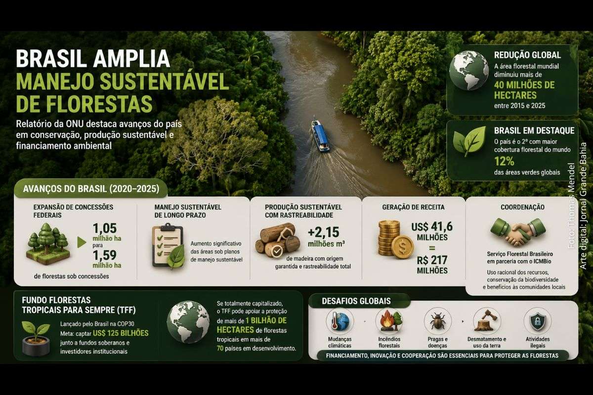 Relatório Global de Florestas de 2026 destaca expansão das concessões florestais no Brasil e alerta para redução das áreas verdes no mundo.