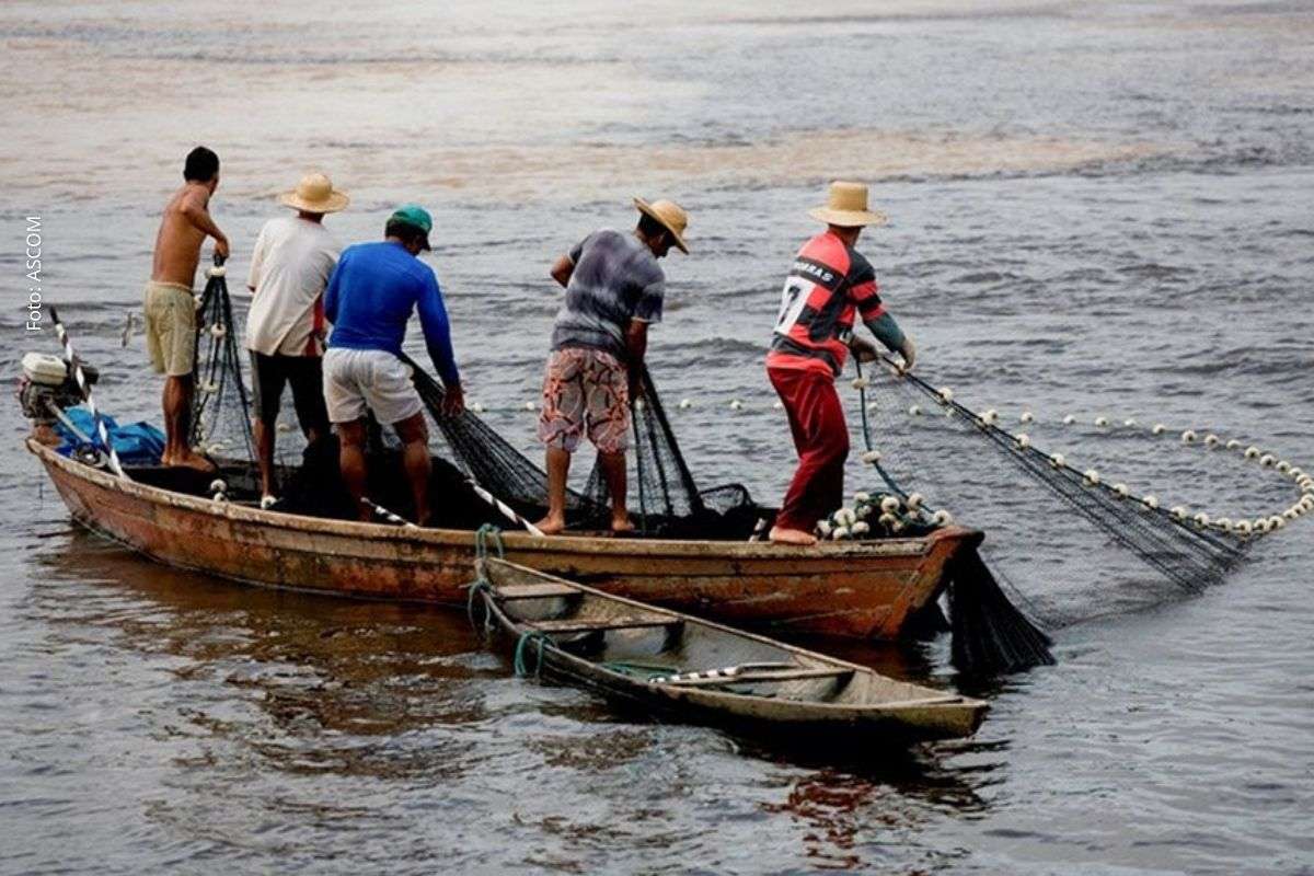 Nova legislação institui semana anual dedicada à pesca artesanal e reconhece importância econômica, social e cultural da atividade no Brasil.