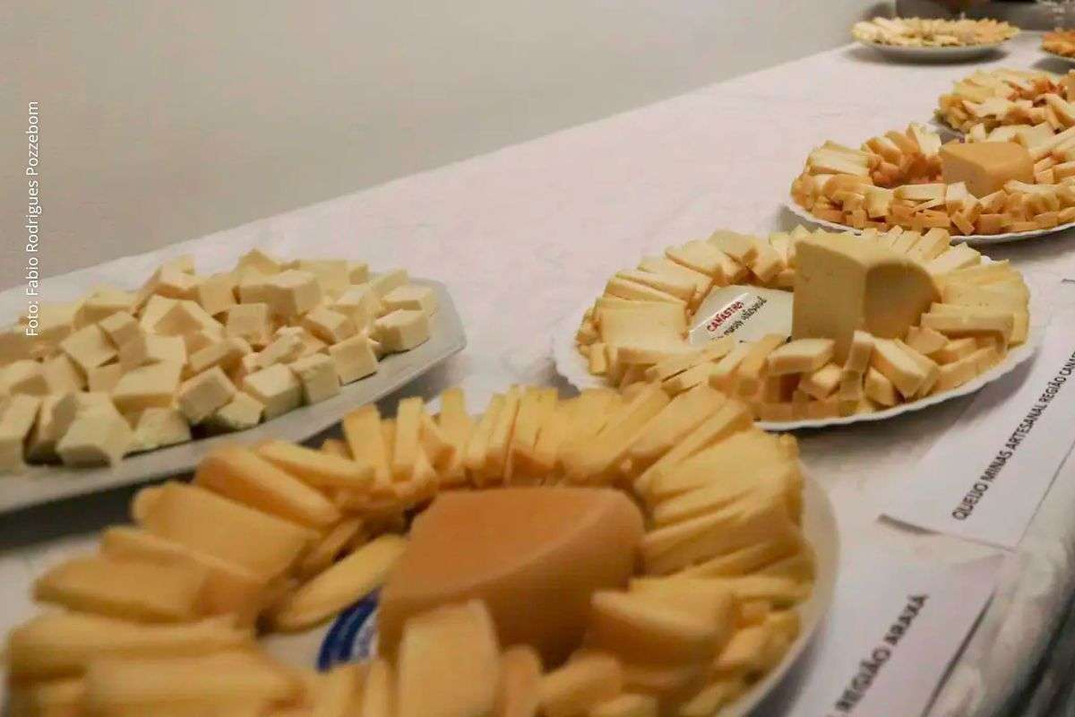 Primeiras operações comerciais do tratado incluem redução de tarifas para produtos europeus e ampliação das exportações brasileiras de carne, aves e cachaça.