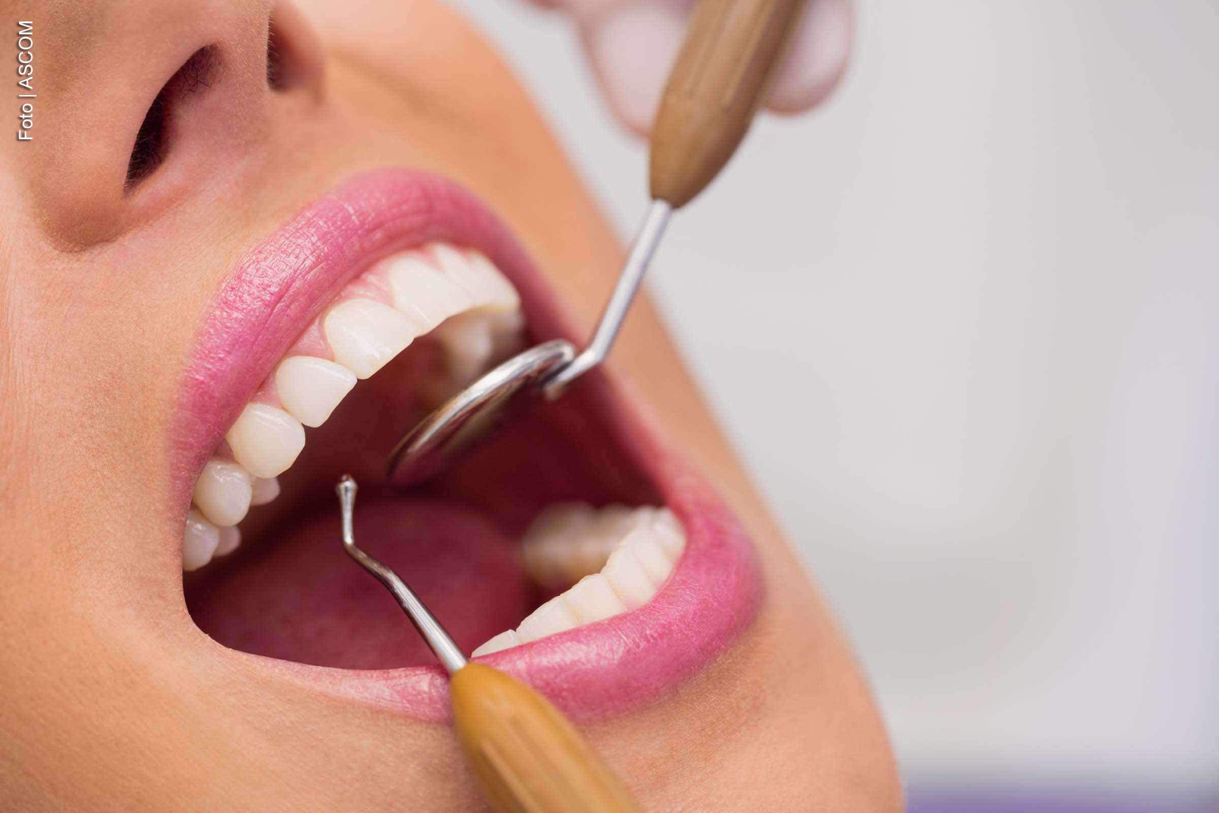 Nova lei cria o Julho Neon e reforça ações do programa Brasil Sorridente, com foco em prevenção, atendimento odontológico e conscientização nacional.