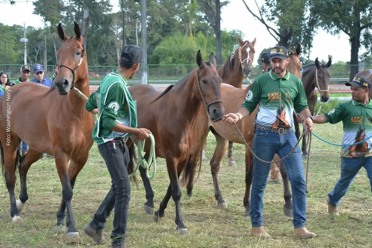Evento gratuito no Parque de Exposição João Martins da Silva reúne criadores de diversos estados, promove a raça Campolina e movimenta a economia regional.