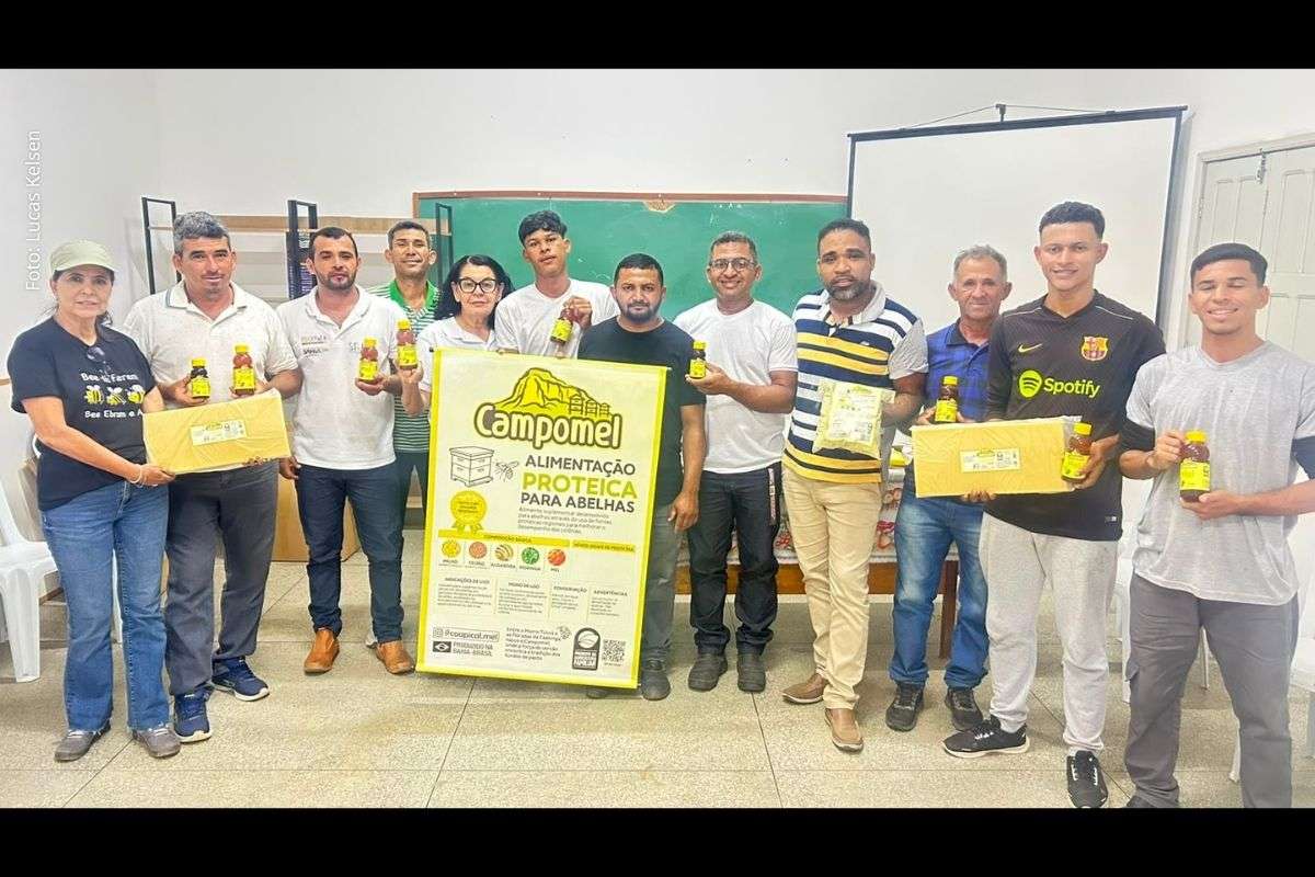 Programa estadual amplia apoio à produção de mel, beneficia criadores de abelhas e incentiva geração de renda no Sertão do São Francisco.