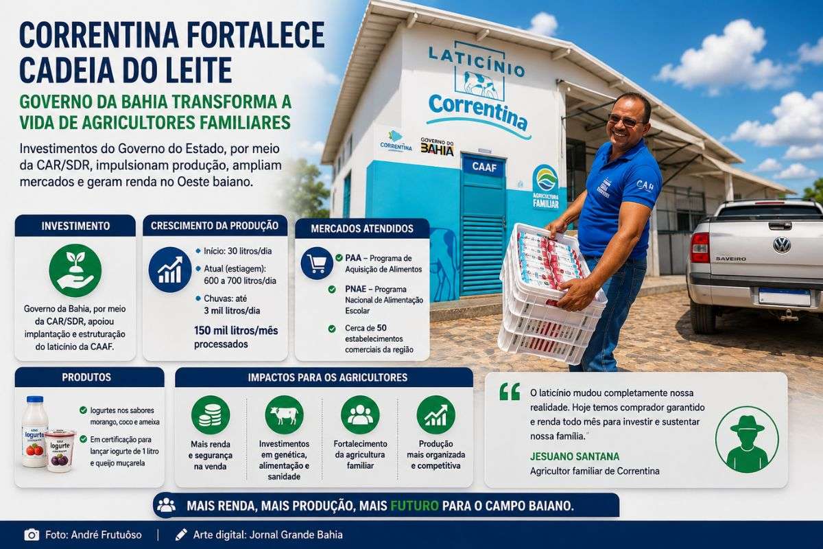 Investimentos do Governo da Bahia impulsionam a produção leiteira, ampliam mercados para agricultores familiares e elevam o processamento para cerca de 150 mil litros de leite por mês em Correntina.