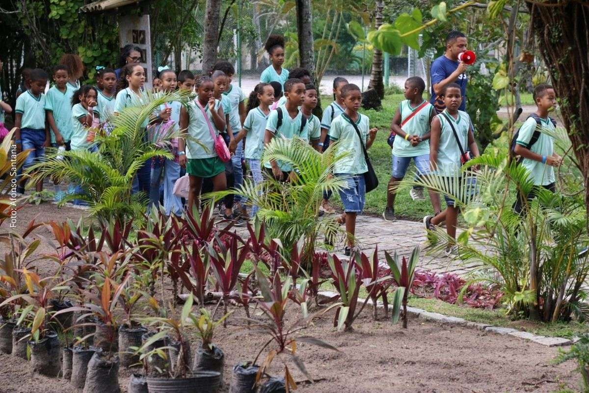 Programação do Village Itaparica reúne estudantes da rede pública em atividades práticas sobre biodiversidade, preservação ambiental e desenvolvimento sustentável.