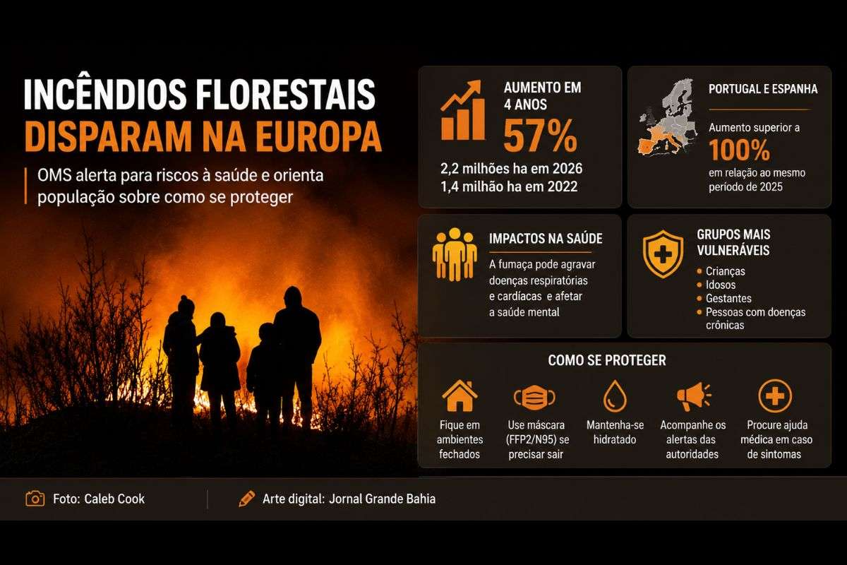 Organização Mundial da Saúde informa que incêndios consumiram 2,2 milhões de hectares entre janeiro e julho de 2026 e reforça medidas para reduzir os impactos da fumaça e do calor extremo.