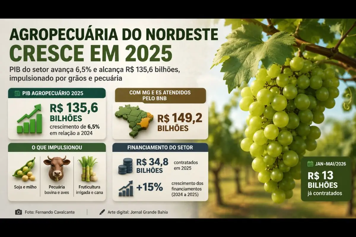 Estudo do Etene aponta crescimento impulsionado pela produção de grãos, pecuária e fruticultura, enquanto financiamentos do Banco do Nordeste alcançam R$ 34,8 bilhões em 2025.