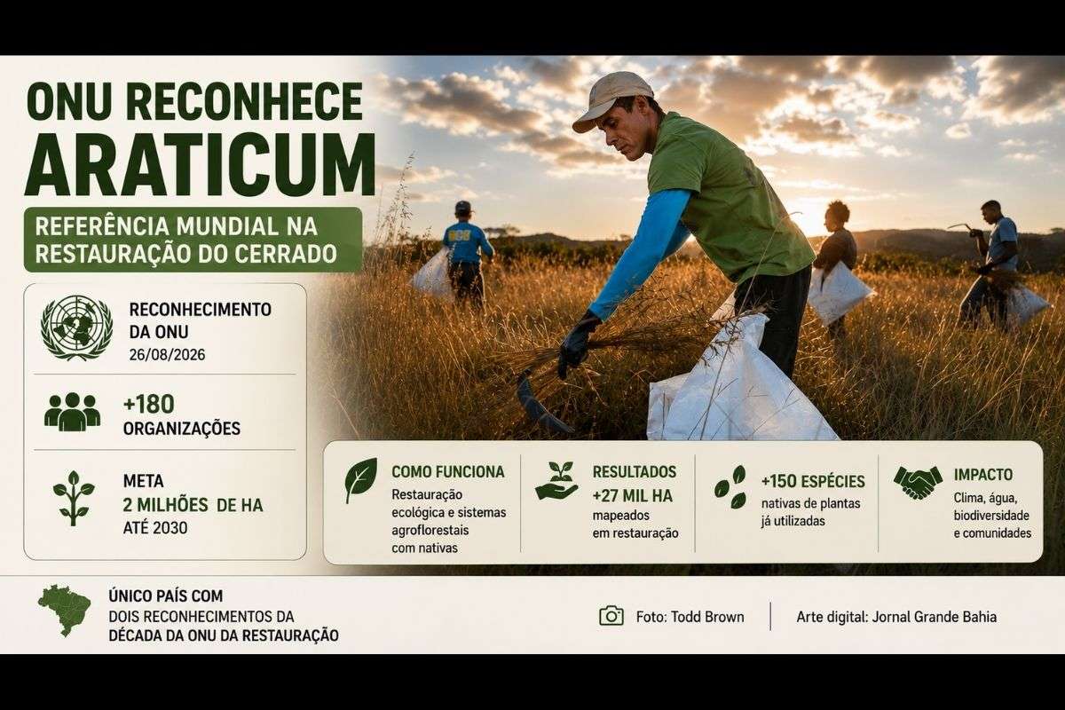 Projeto reúne mais de 180 organizações e pretende restaurar 2 milhões de hectares do Cerrado até 2030.