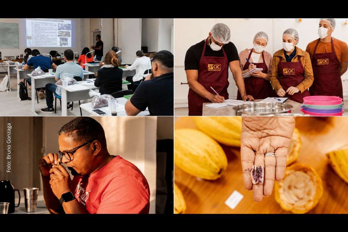 Estande do CIC, em Ilhéus, terá inscrições para o AgroCIC, cursos de classificação e fermentação e atendimento técnico durante a feira.