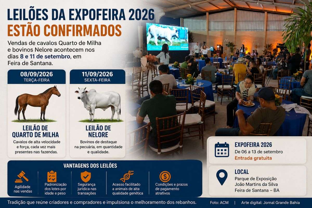 Vendas estão previstas para os dias 8 e 11 de setembro, no Parque de Exposição João Martins da Silva, durante a 47ª Exposição Agropecuária de Feira de Santana.