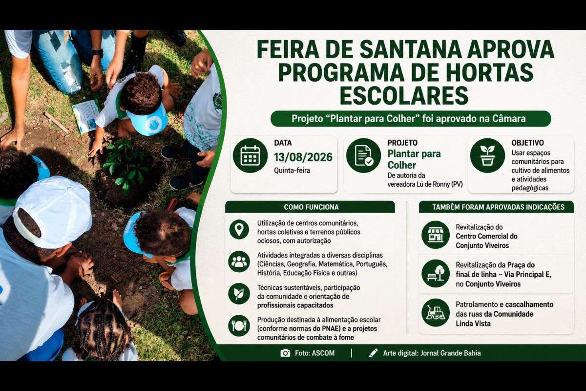 Projeto “Plantar para Colher” prevê cultivo de alimentos em espaços comunitários para uso pedagógico e na alimentação escolar; indicações também tratam de revitalização urbana e manutenção de vias.