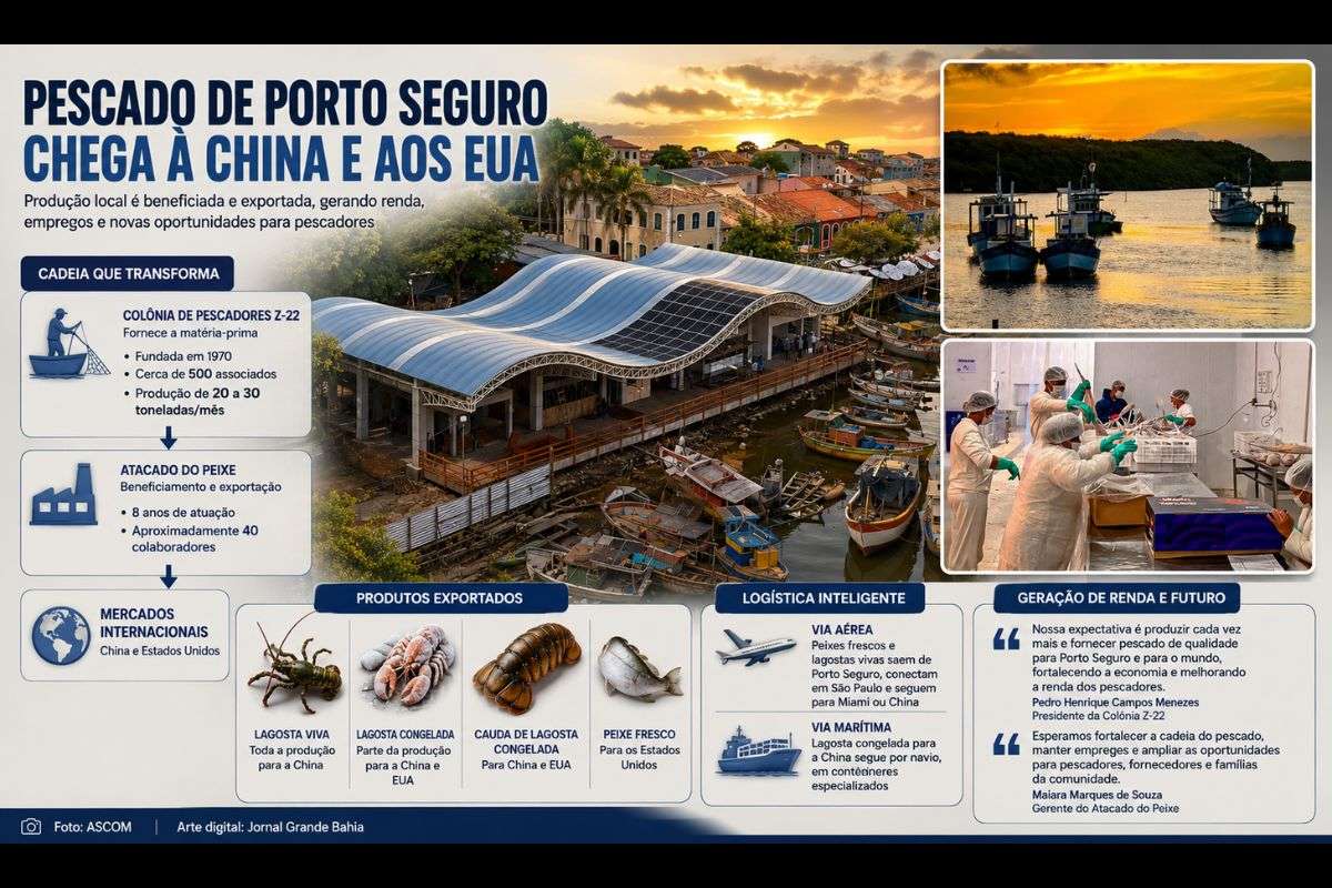 Produção da Colônia de Pescadores Z-22 é beneficiada e exportada pelo Atacado do Peixe, com uso do aeroporto local para produtos frescos e vivos.