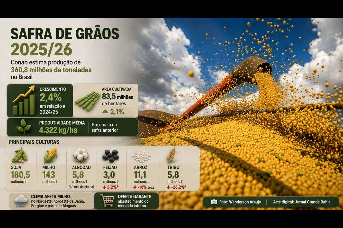 Estimativa indica crescimento de 2,4% sobre a safra anterior, com aumento da área cultivada e produção de soja projetada em 180,5 milhões de toneladas.