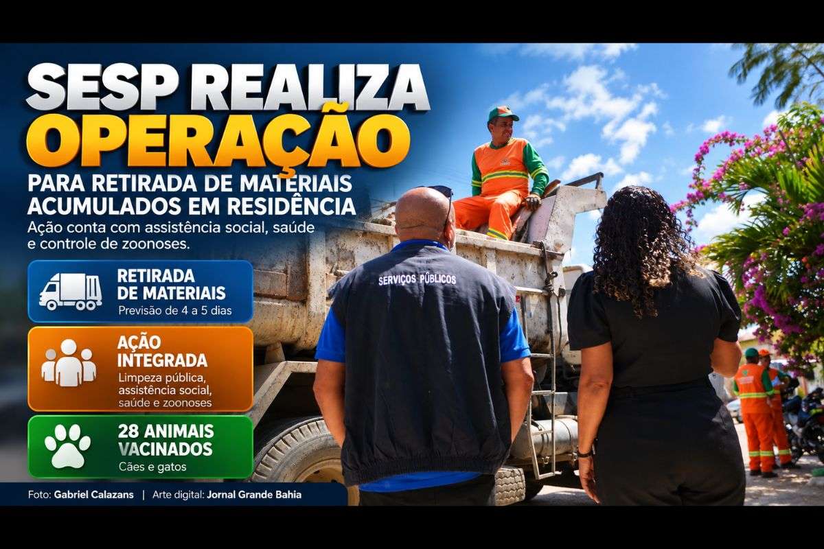 Ação integrada reúne limpeza pública, assistência social, saúde e controle de zoonoses; retirada deve durar entre quatro e cinco dias.