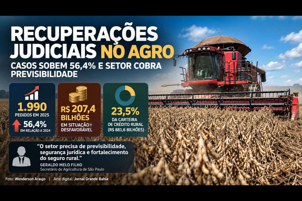 Alta das recuperações judiciais, pressão sobre o crédito rural e redução do seguro rural foram debatidas em reunião da ACSP com representantes do agronegócio.