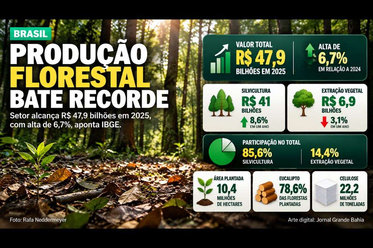 Valor cresceu 6,7% em um ano, impulsionado pela silvicultura; eucalipto representa 78,6% das florestas plantadas e celulose mantém posição entre os principais produtos exportados.