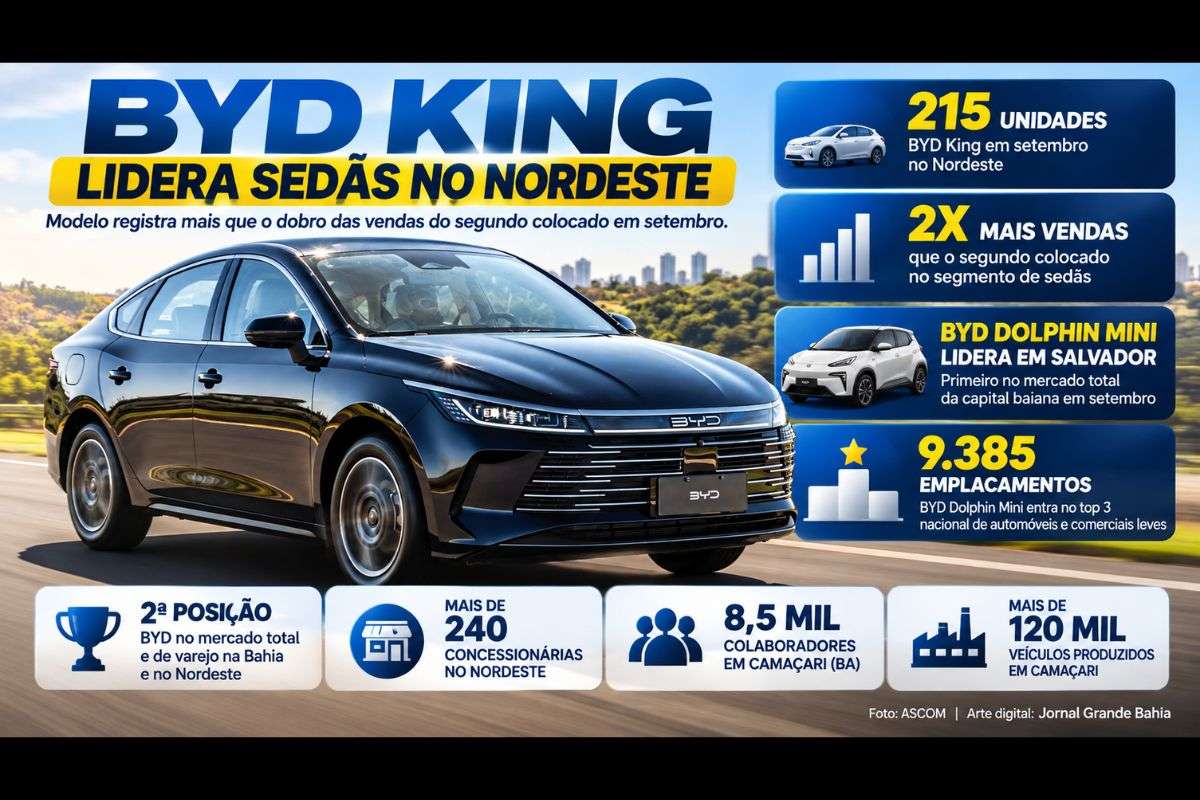 Marca registra 215 unidades do King em setembro no Nordeste, enquanto Dolphin Mini alcança 9.385 emplacamentos e entra pela primeira vez no top 3 nacional.
