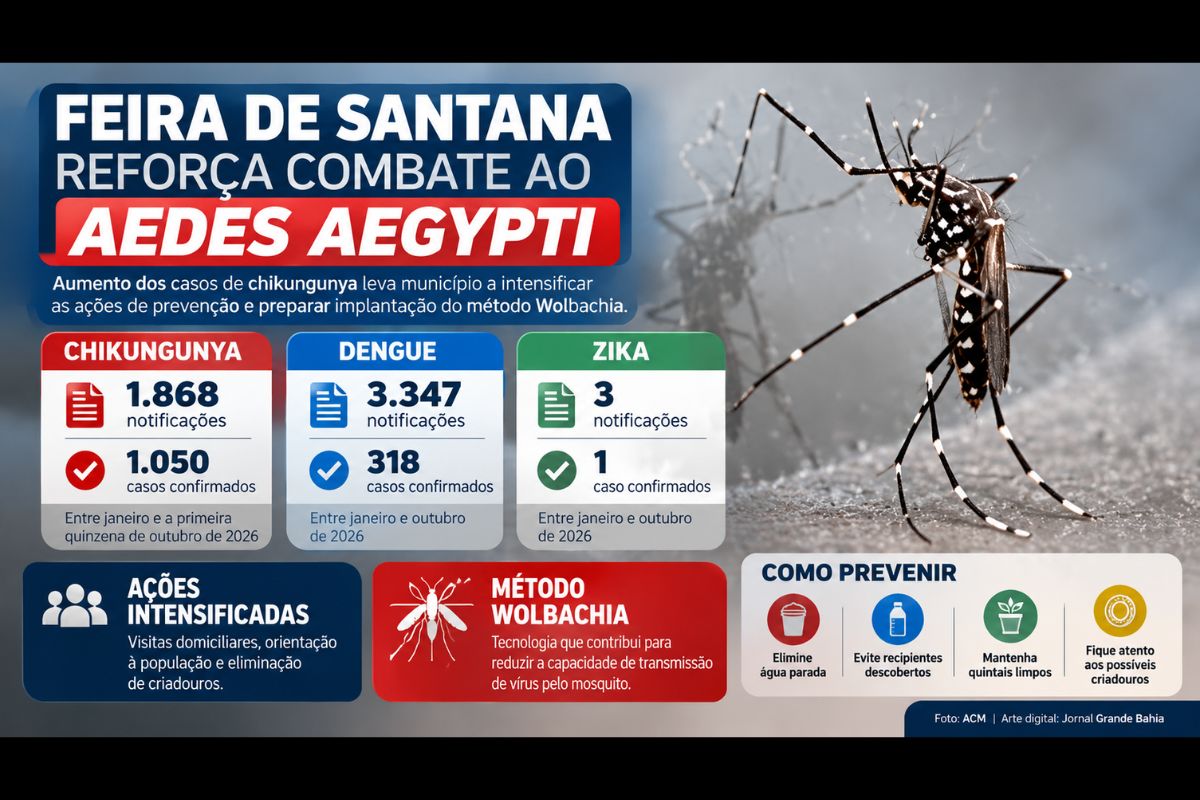 Secretaria Municipal de Saúde intensifica o combate ao Aedes aegypti após aumento das notificações de chikungunya e reforça ações de vigilância contra dengue e zika.
