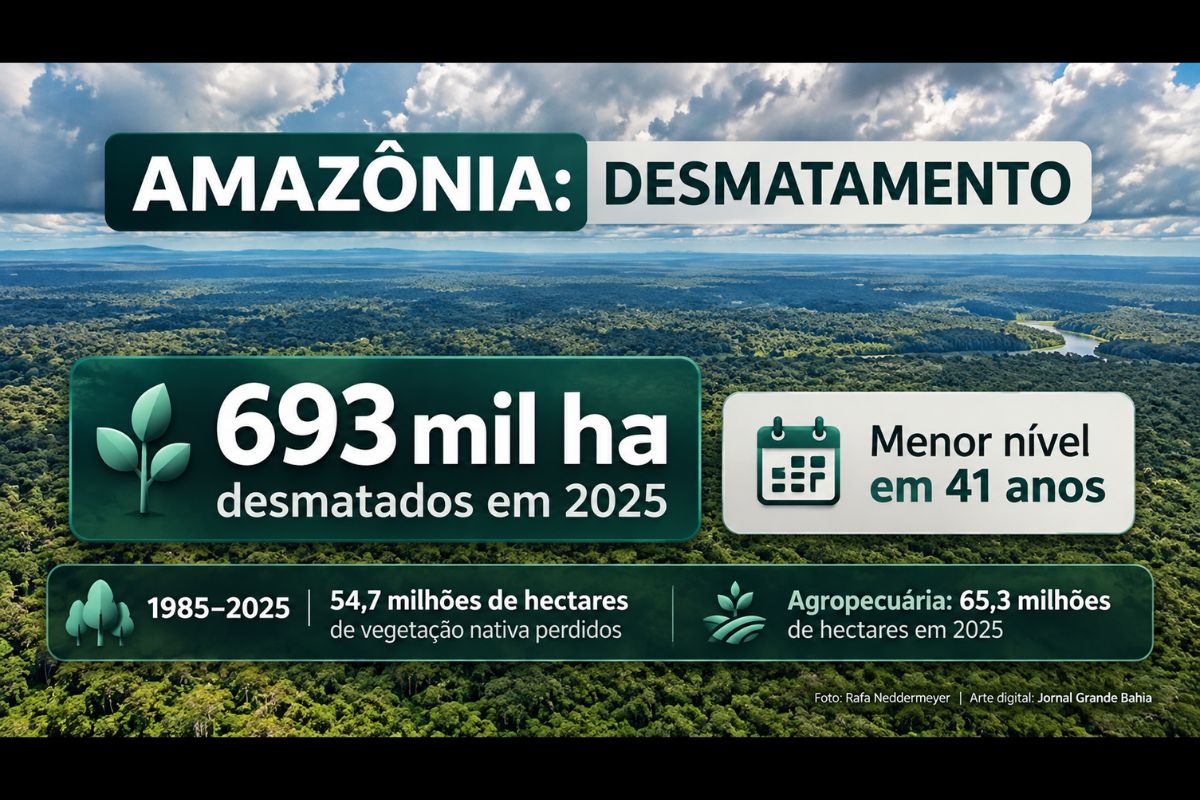 Coleção 11 do MapBiomas aponta 693 mil hectares desmatados em 2025, expansão da agropecuária e aumento de 14 vezes da área ocupada pela mineração desde 1985.