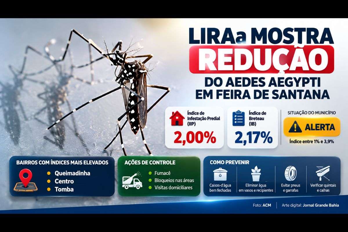 Levantamento registra Índice de Infestação Predial de 2% e orienta intensificação das ações de controle do mosquito transmissor da dengue, zika e chikungunya.