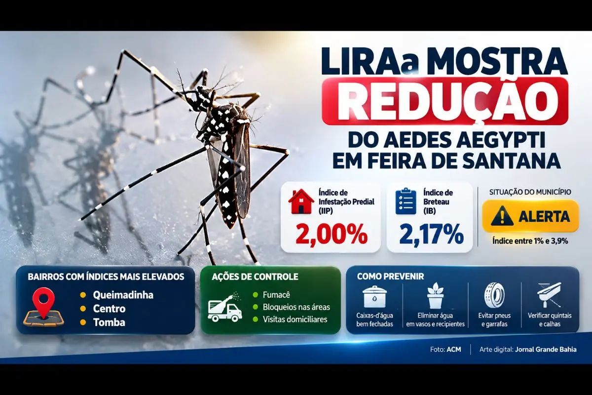 Levantamento registra Índice de Infestação Predial de 2% e orienta intensificação das ações de controle do mosquito transmissor da dengue, zika e chikungunya.
