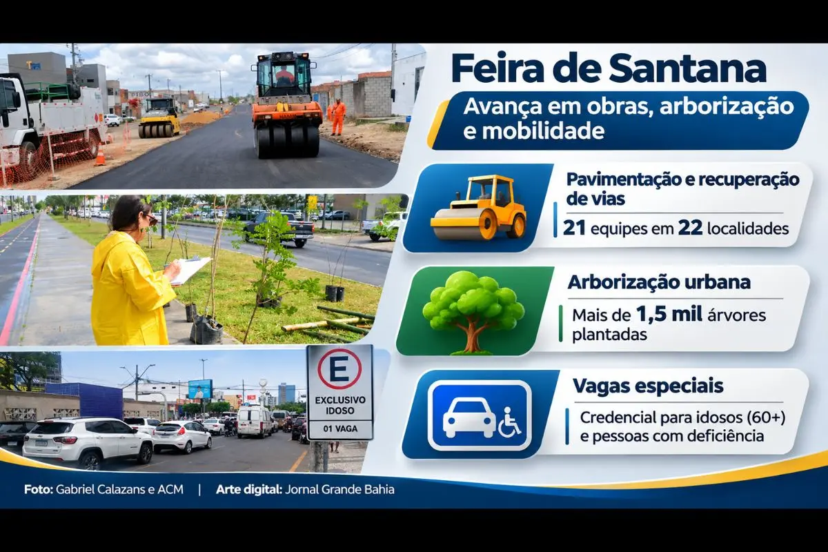 Prefeitura mobiliza 21 equipes para recuperar ruas e avenidas, amplia o programa de arborização urbana e mantém serviço de emissão de credenciais para idosos e pessoas com deficiência.