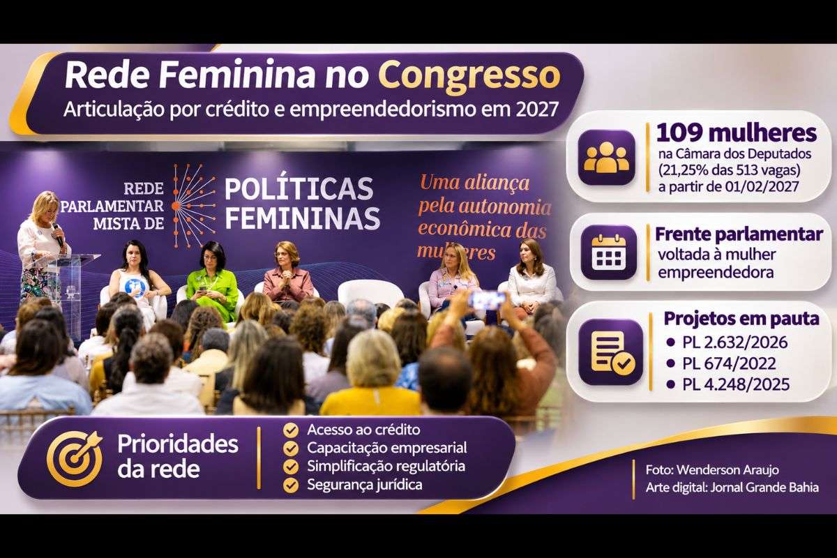 Iniciativa pretende ampliar a participação feminina no Congresso, apoiar projetos de lei sobre empreendedorismo e combater a violência patrimonial.