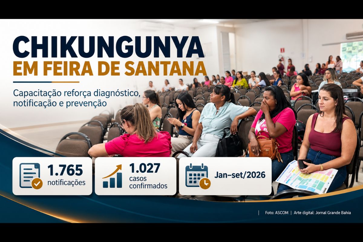 Treinamento orienta equipes sobre diagnóstico, exames laboratoriais e notificação para direcionar ações de combate ao mosquito transmissor.