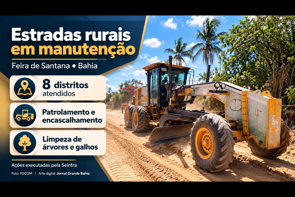 Serviços de patrolamento, encascalhamento e limpeza de vegetação são executados pela Secretaria Municipal de Infraestrutura para melhorar as condições de tráfego na zona rural.